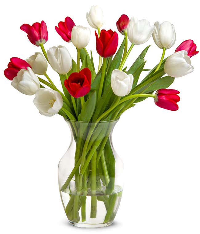Christmas tulips for delivery in a red vase. 