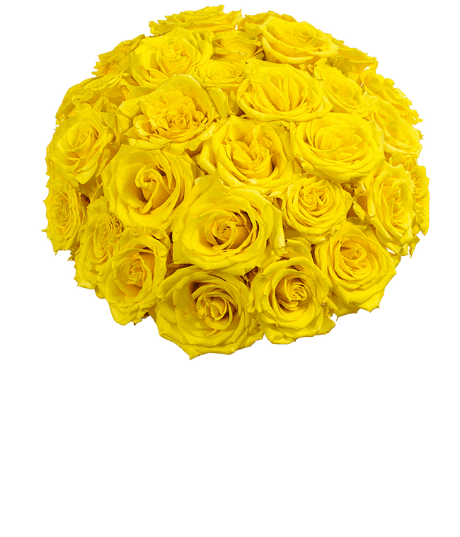 Next day delivery of yellow roses