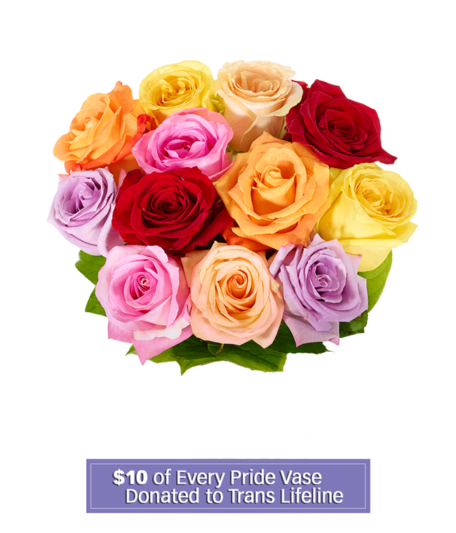 One Dozen Love is Love Rainbow Roses